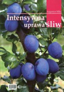 Intensywna Uprawa liw - 2856369537