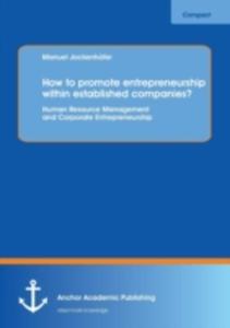 How To Promote Entrepreneurship Within Established Companies? Human Resource Management And Corporate Entrepreneurship - 2857125433