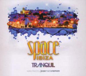 Space Ibiza Tranquil 2011 - 2839403006