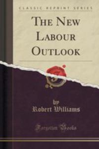 The New Labour Outlook (Classic Reprint) - 2852877669