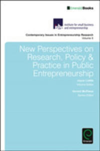 New Perspectives On Research, Policy & Practice In Public Entrepreneurship