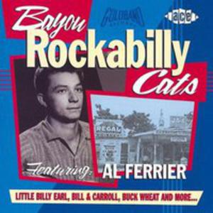 Bayou Rockabilly Cats / Rni Wykonawcy - 2848171750