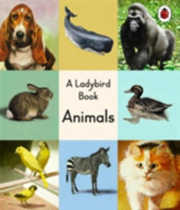 A Ladybird Book: Animals - 2851196658