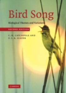 Bird Song - 2849493722