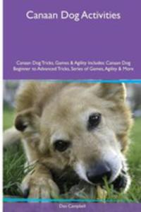 Canaan Dog Activities Canaan Dog Tricks, Games & Agility. Includes - 2853984290