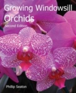 Growing Windowsill Orchids - 2850826869