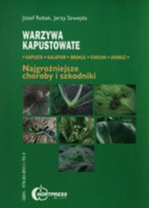 Warzywa Kapustowate Najgroniejsze Choroby I Szkodniki - 2856369481