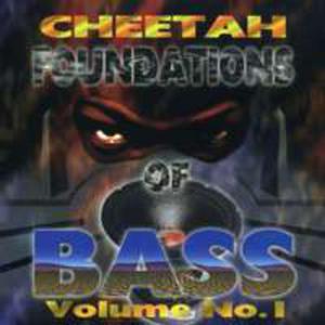 Foundations Of Bass - 2851175059