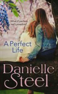 A Perfect Life - 2840137093