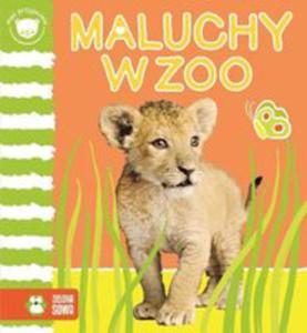 Maluchy W Zoo Mali Przyjaciele - 2846069910