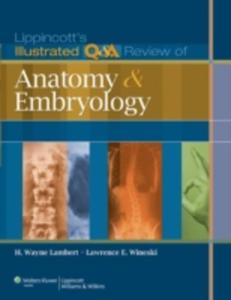 Lippincott's Illustrated Q & A Review Of Anatomy And Embryology - 2847186909