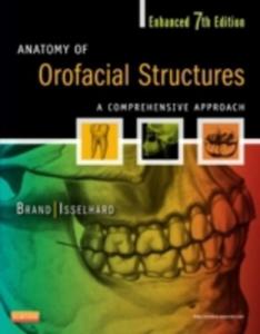 Anatomy Of Orofacial Structures - 2842819171