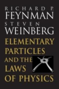 Elementary Particles And The Laws Of Physics - 2856135265