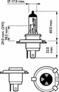 35024128 PH 12342XVS2 ZAROWKA 12V H4 12V 60/55W X-TREME VISION P43T-38 SET 2- KPL PHILIPS ZAROWKI PHILIPS [918436] - 2174960178