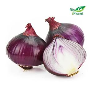 Cebula Czerwona wiea BIO (okoo 1 kg) Bio Planet - 2877653938