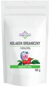 Kolagen Rybi z Dzik R Proszek 100 g Soul Farm - 2874115814