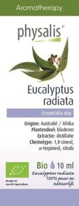 Olejek Spoywczy Eucalyptus Radiata, Eukaliptus Australijski BIO 10 ml Physalis - 2866834620