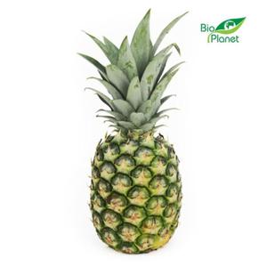 Ananas wiey BIO (1 szt.) Bio Planet - 2876562306