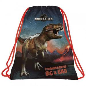 Worek szkolny na obuwie Dinozaur plecak podwjne sznurki - 2872715649