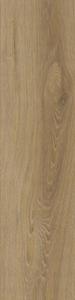 Stargres Canadian Wood Beige 15,5x62 - 2878271222