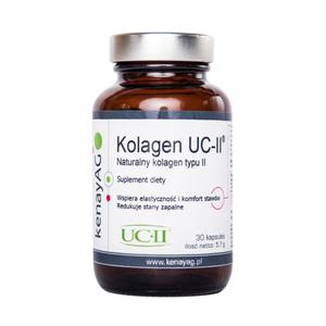 Kolagen UC-II - 2850303738