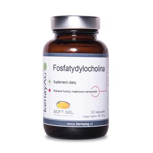 Fosfatydylocholina 60 kaps - 2850303762