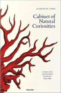 Cabinet of Natural Curiosities (Jumbo)_Musch Irmgard, Willmann Rainer, Rust Jes - 2822175601