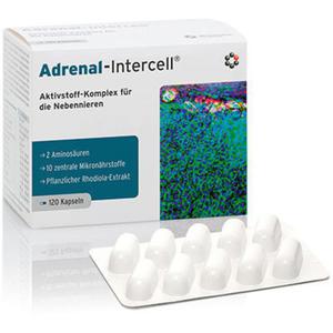 Adrenal-Intercell 120 kps - 2862374465