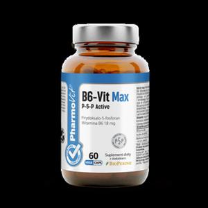 B6-Vit Max P-5-P Active 60 kaps Vcaps - 2876882978