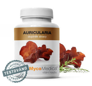 Auricularia w optymalnym steniu - MycoMedica - 2876883412