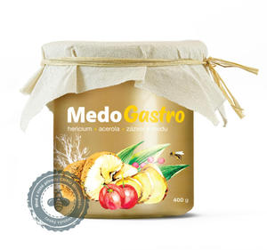 MedoGastro - hericium, acerola i imbir w miodzie 400g - MycoMedica - 2876883433