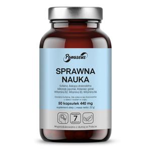 Sprawna nauka - 50 kapsuek - Panaseus - 2877702052