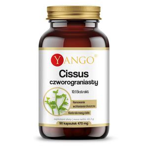 YANGO Cissus czworograniasty - 90 kapsuek - 2877702263