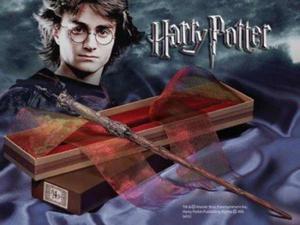 Harry Potter oryginalna rdka - rne modele rdki - 2877231574