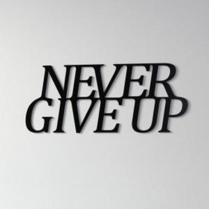 Napis na cian DekoSign NEVER GIVE UP czarny