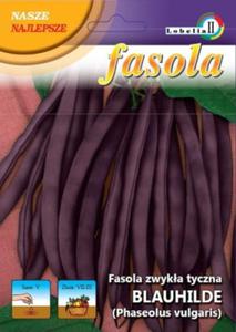 Fasola fioletowa tyczna Blauhilde 10g / L / - 2872464215