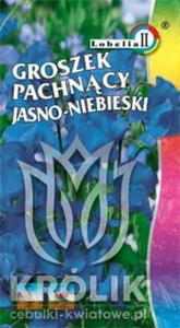 Groszek pachncy jasnoniebieski 2g / L / - 2874163300