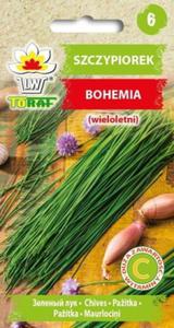 Szczypiorek Bohemia 2g / T / - 2876724534