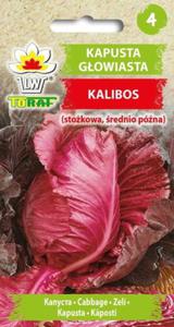 Kapusta czerwona stokowa Kalibos 1g / T / - 2877013716