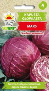 Kapusta gow.czerwona Mars 1g / T / - 2877013717