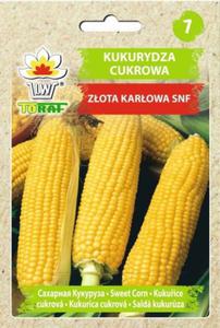 Kukurydza cukrowa Zota Karowa 20g / T / - 2877013724