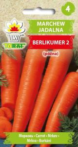 Marchew Berlikumer 2 5g / T / - 2877013725