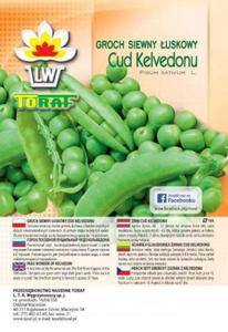 Groch siewny Cud Kelvedonu 500g / T / - 2878262282