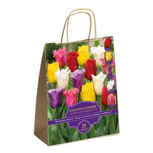 Zestaw Prestige Tulipany strzpiaste 25 cebulek - 2878262304