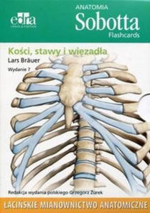 Anatomia Sobotta Flashcards Koci stawy i wizada. aciskie mianownictwo anatomiczne - 2859208244