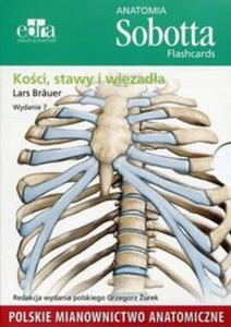 Anatomia Sobotta Flashcards Koci stawy i wizada. Polskie mianownictwo anatomiczne - 2859208245