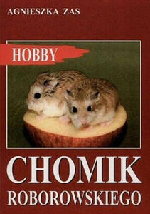 Chomik Roborowskiego - 2859210657