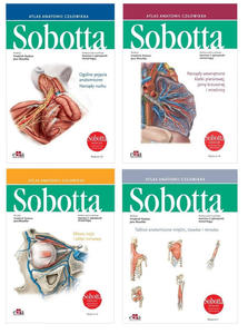 Atlas anatomii czowieka Sobotta. Angielskie mianownictwo. Tomy 1-3 + Tablice anatomiczne Sobotta. Angielskie mianownictwo - 2859210903