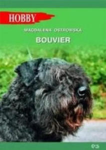 Bouvier - 2859211411