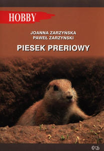 Piesek preriowy - 2859211413